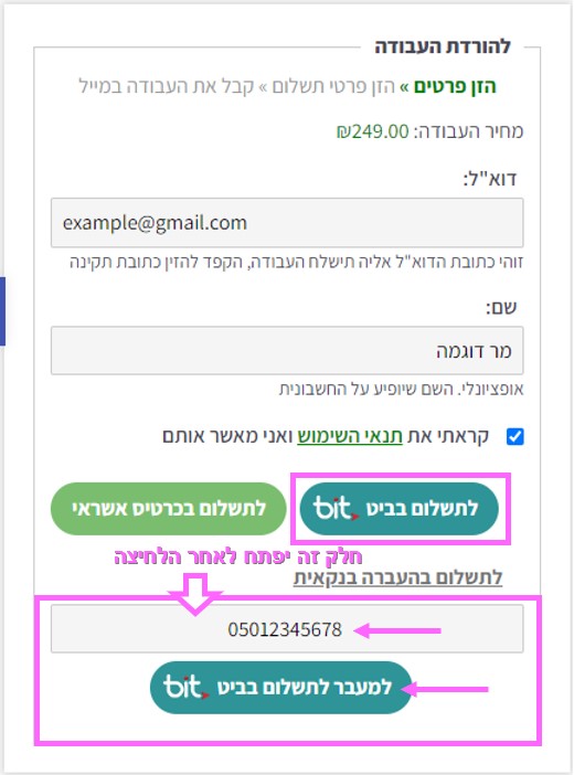 צילומסך חלונית תשלום בביט עם סימונים על הכפתורים לתשלום בביט ולמעבר לתשלום בביט, מלבן שמקיף חלק תחתון ומעליו חץ וכיתוב "חלק זה יפתח לאחר הלחיצה"